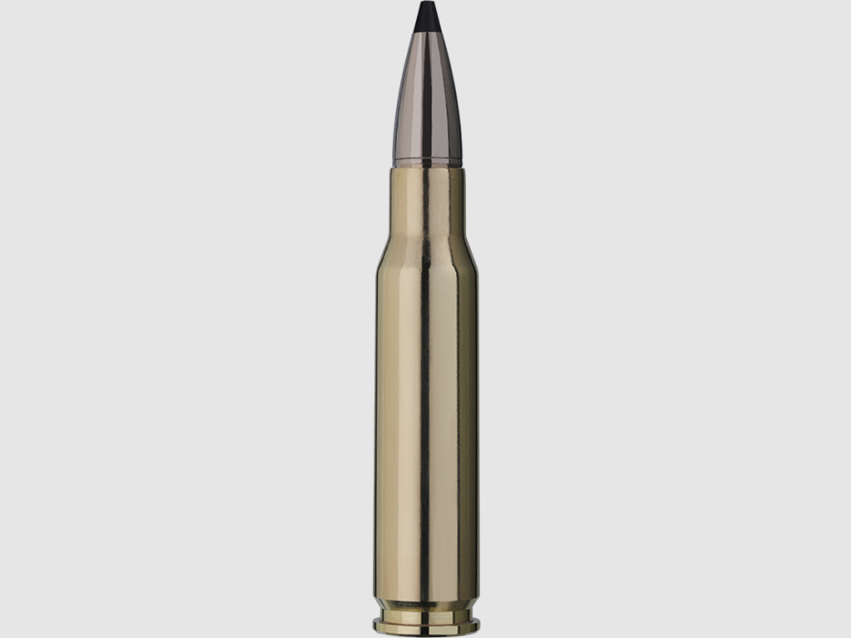 RWS .308 Win. Speed Tip PRO Munition 10,7 g, Bild 2 von 3