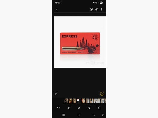 .text>.223 Remington Munitie GECO Express