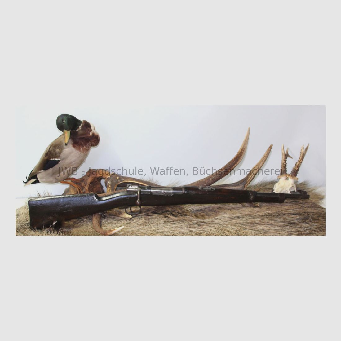 Brasilien-Mauser - ideale Durchgehwaffe 7x57