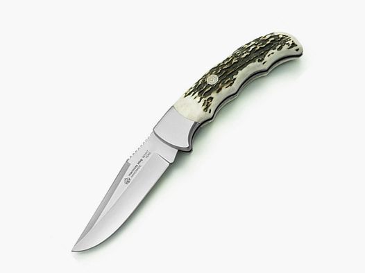 PUMA IP marmota, stag