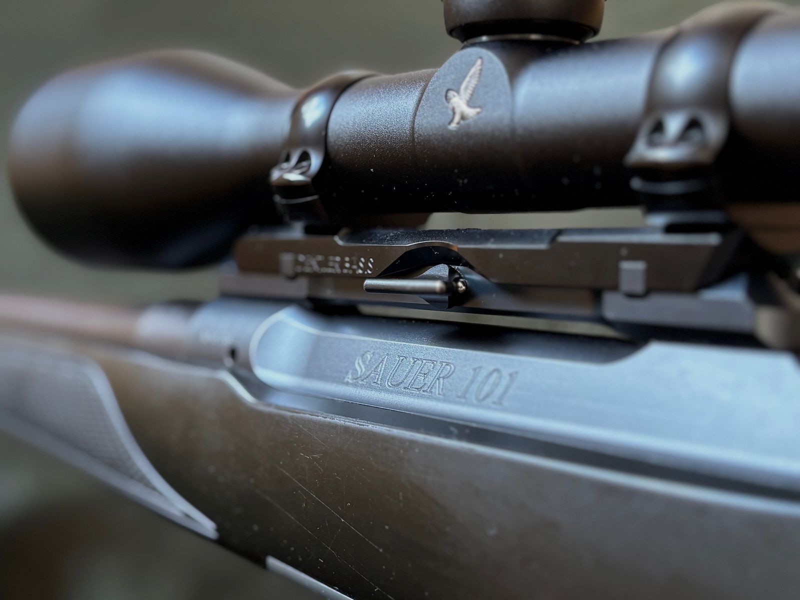 Sauer 101 incl. base di montaggio Dentler / .30-06