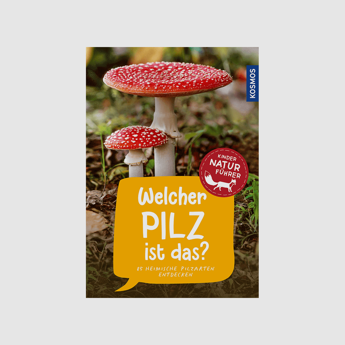 Livre "Guide de la nature pour enfants : Quel champignon est-ce ?"