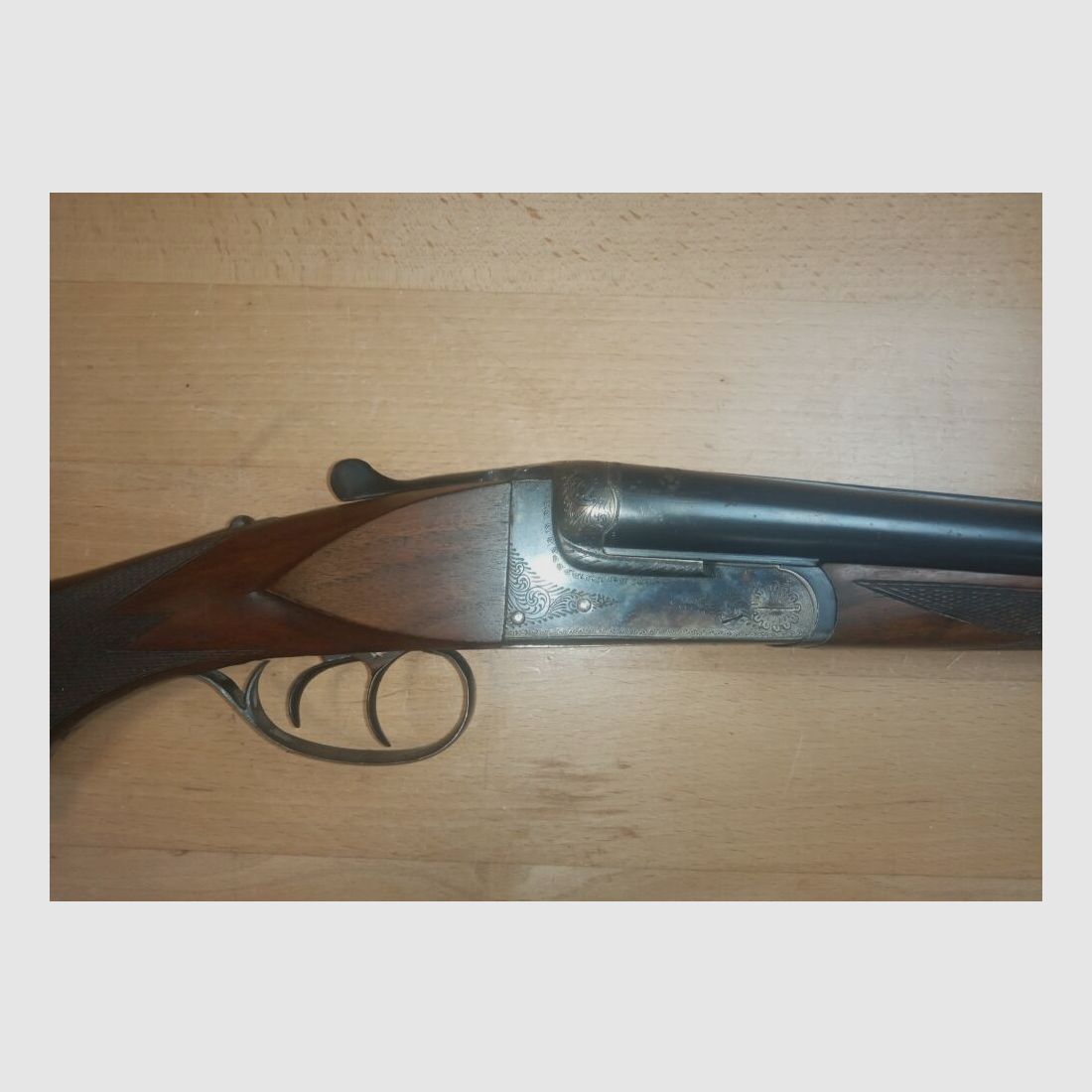 Geco Aigle