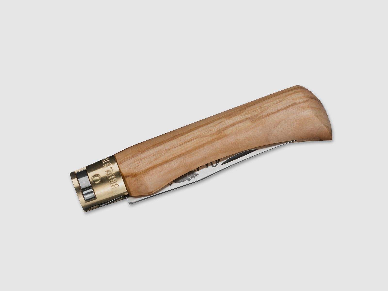 Antonini Old Bear L Olive