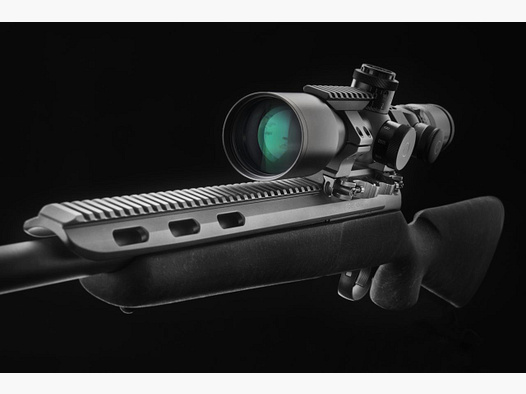 ERA-TAC Recknagel Remington 700 Picatinny Rail - long version Weapon model: Remington- 700 short