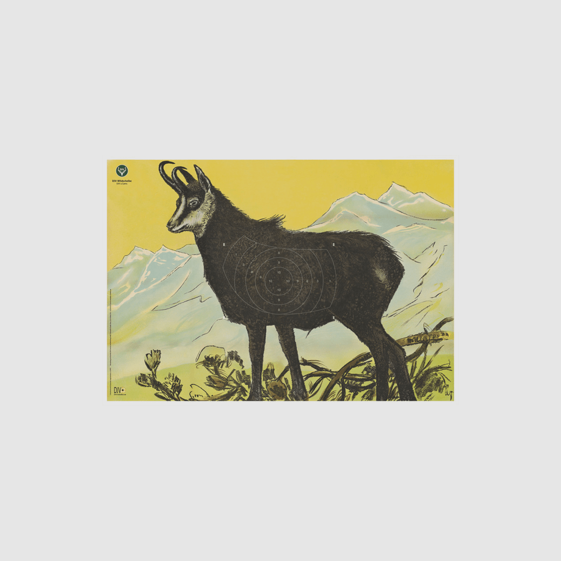 DJV-Wildscheibe Nr. 4 (Gamsbock, 100m)
