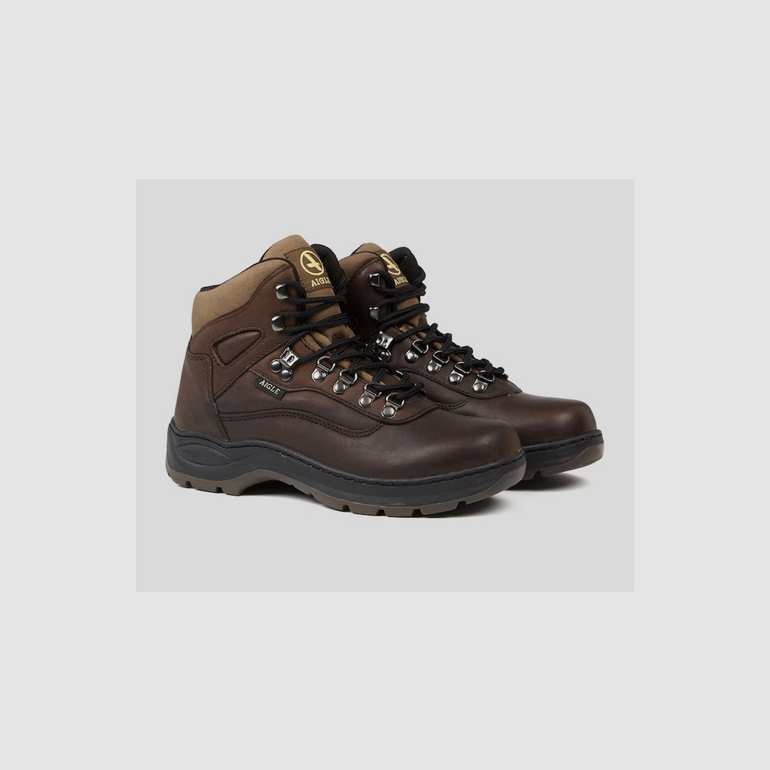 Aigle Picardie