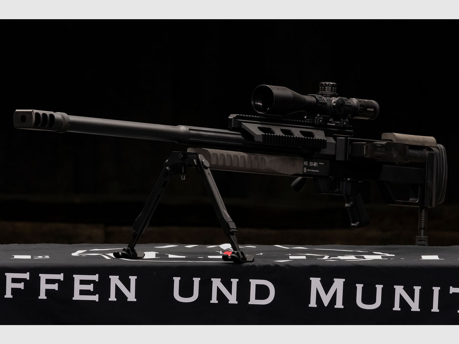 Steyr HS .50 M1, Bild 4 von 10