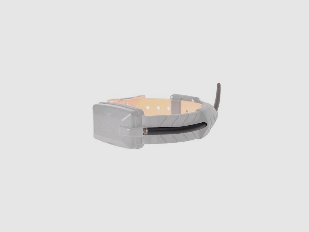 Antenne voor GPS-halsband Dogtrace X20 X30, afbeelding 2 van 2