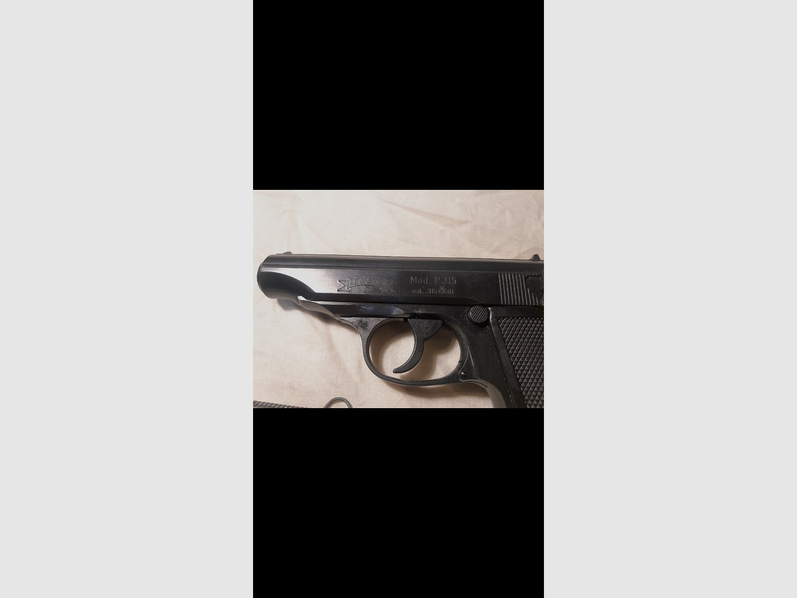 IWG P315  .315