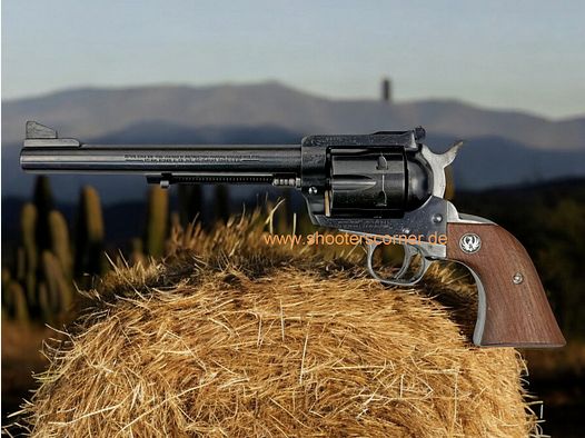 Ruger Blackhawk caliber .45 Colt