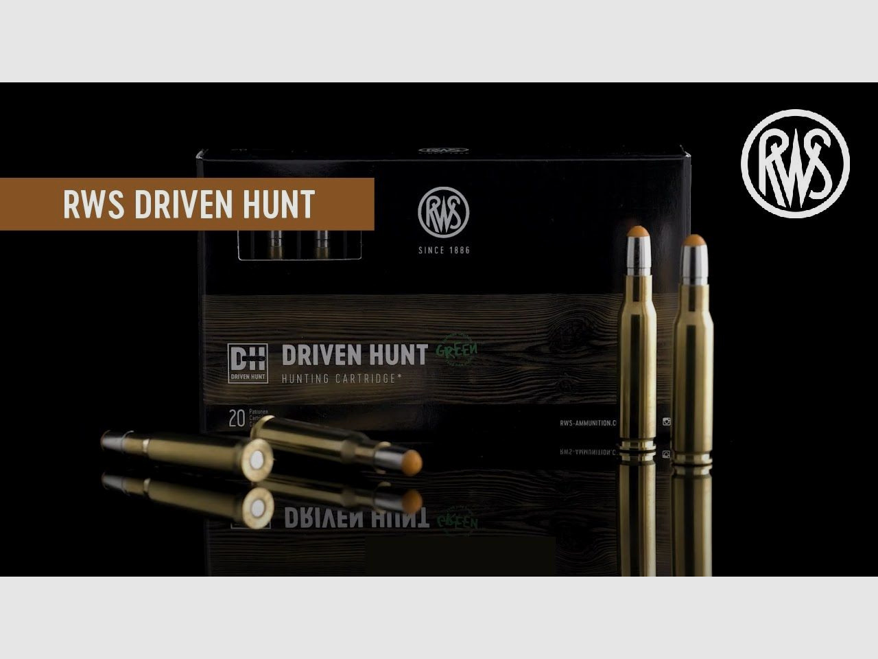 RWS Driven Hunt Cal. 308 Win. - 10.7g / 165gr