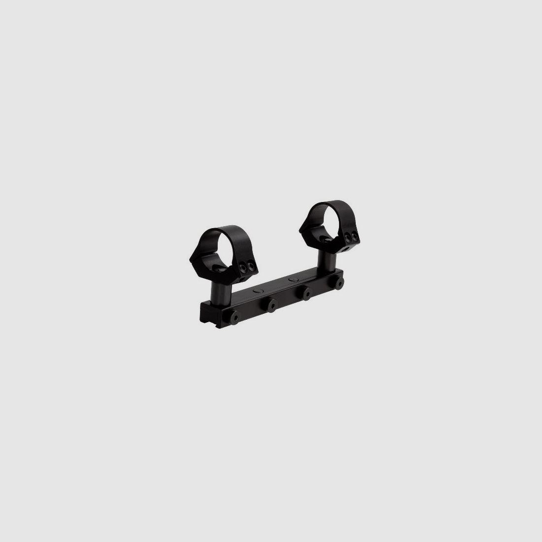 Prism mount + rings 1" high