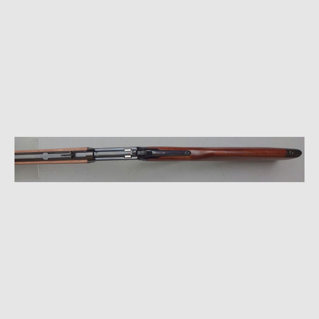 ROSSI PUMA Octagon 24" 8-sided run