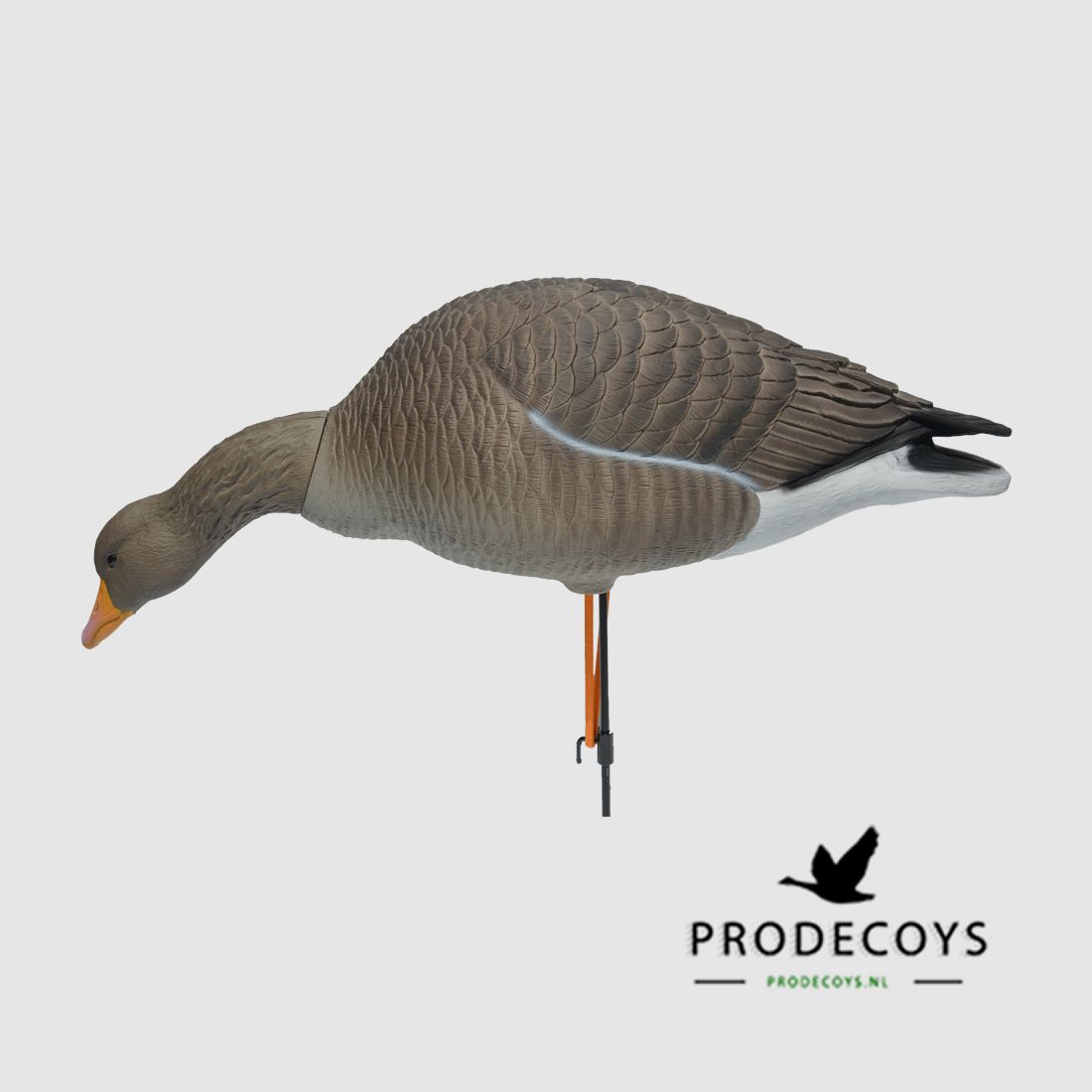 Prodecoys Elite Series Graugans-Lockvögel Full Body – 6er-Set, Bild 13 von 15