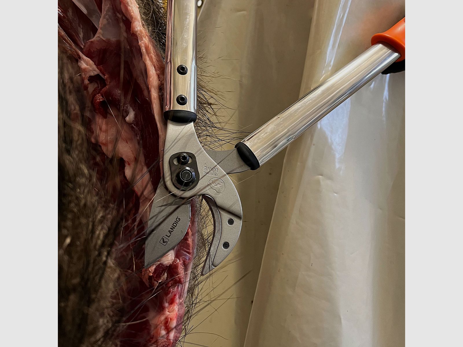 Jagdschere XL – 50 cm, Bild 3 von 4