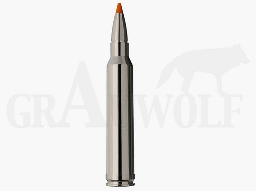 .300 Winchester Magnum 165 gr / 10,7 g RWS HIT Short Rifle Patronen 20 Stück
