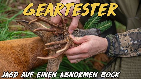 Geartester - Jagd auf einen abnormen Rehbock