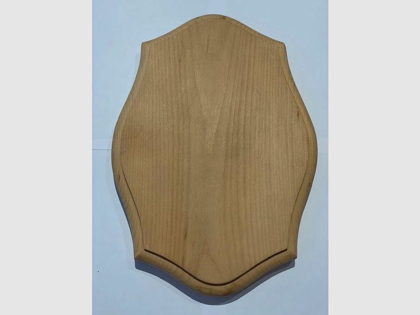 Scudo araldico 27cmx19cm