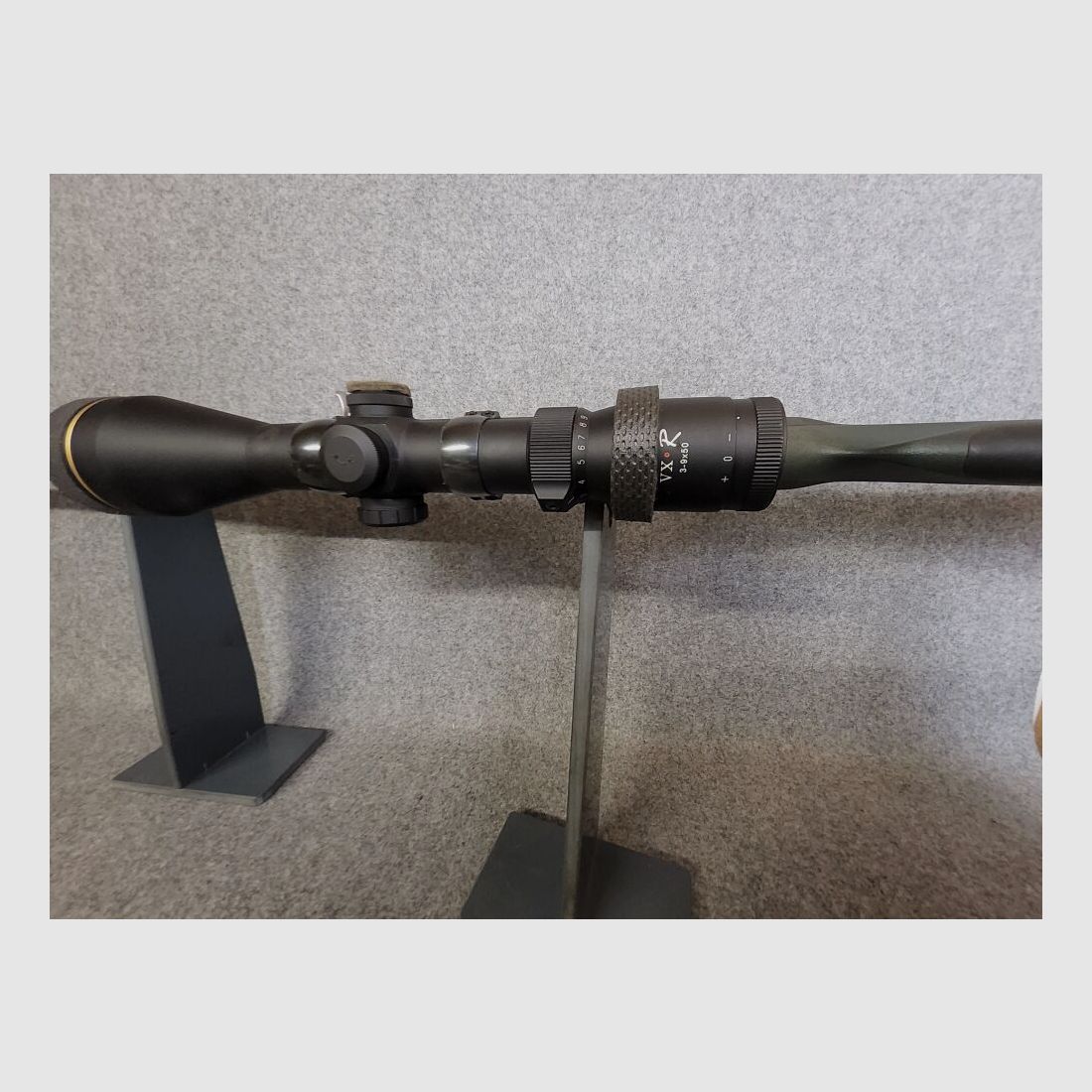 Sauer 303 Forest