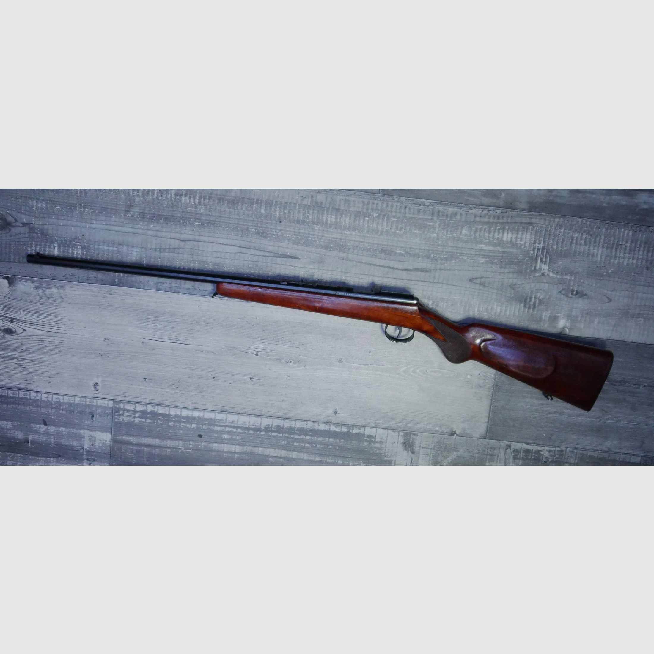 Anschütz single shot .22lr