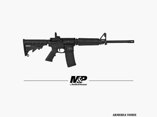RIFLE – SMITH & WESSON SEMIAUTO – M&P15-II SPORT 223R