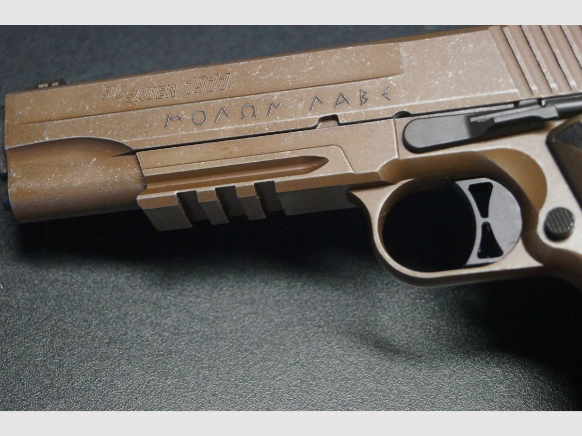Sig Sauer 1911 Spartan 2, Bild 7 von 10
