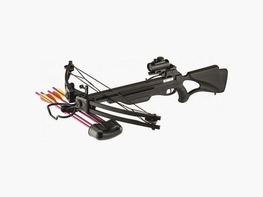 Pack arbalète Shoot Again compound noir 175 lbs + viseur point rouge