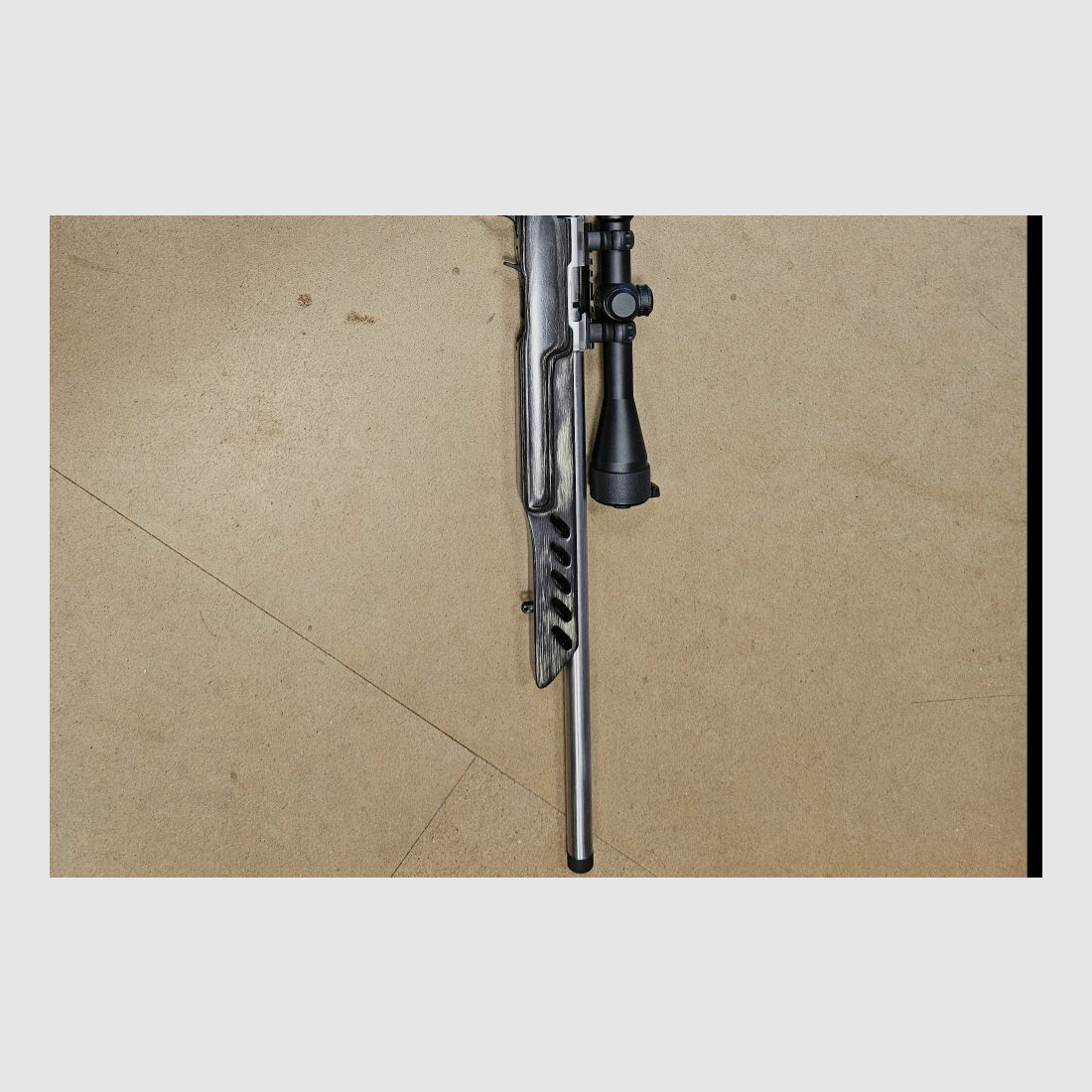 Ruger American Rimfire	 .22lr