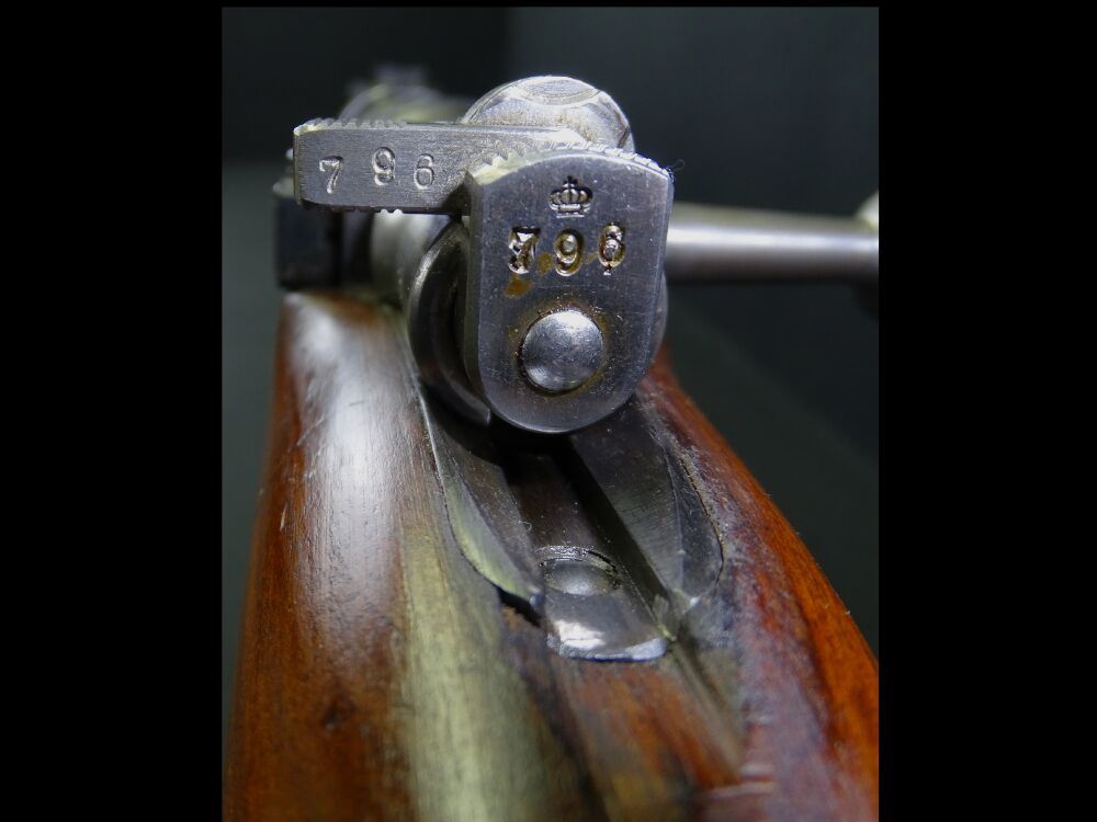 Carl Gustav M96