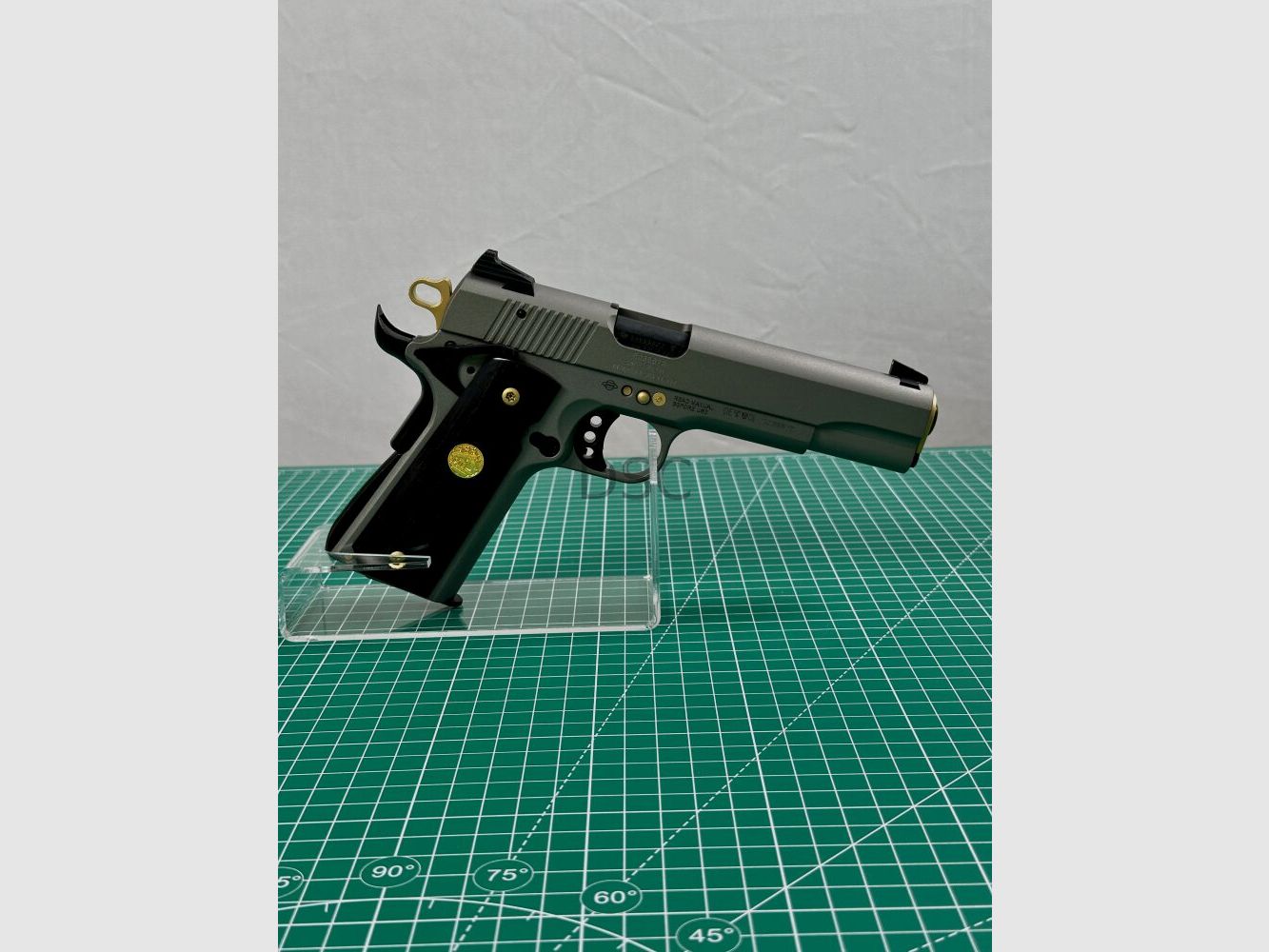 GSG GSG 1911 .22lr