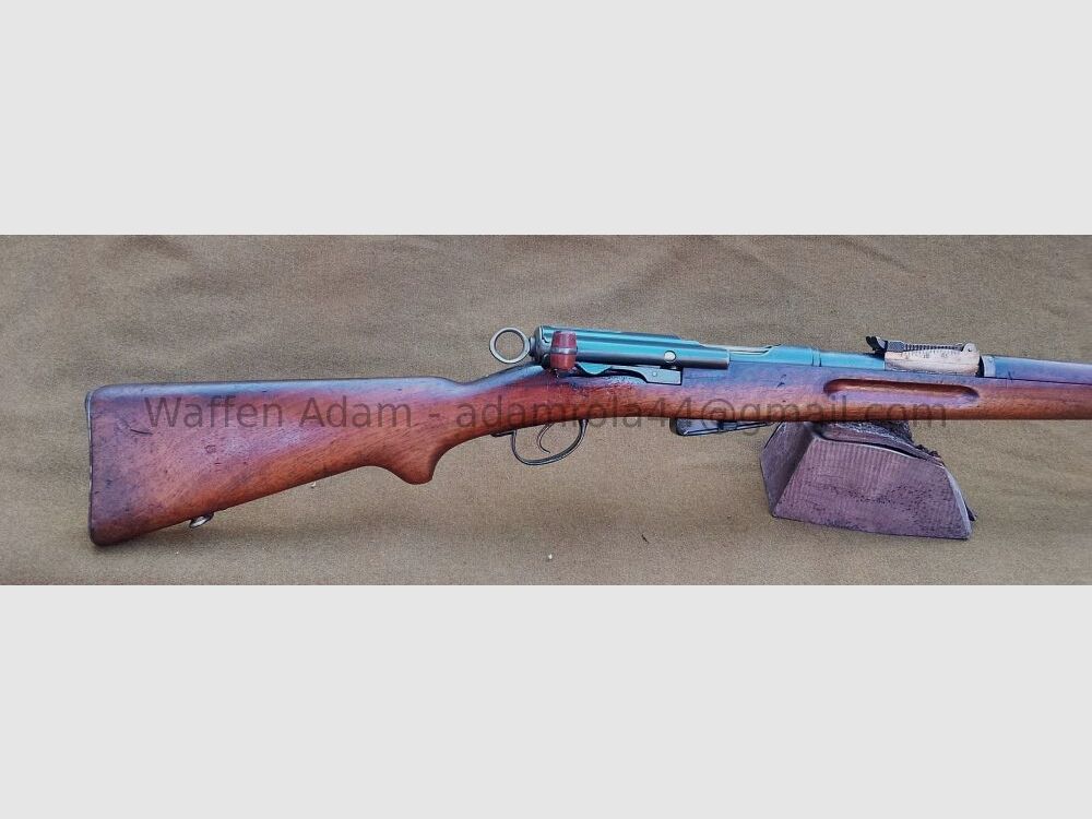 W+F, Eidgenössische Waffenfabrik Bern Geradezug Gewehr G11, Graubünden
