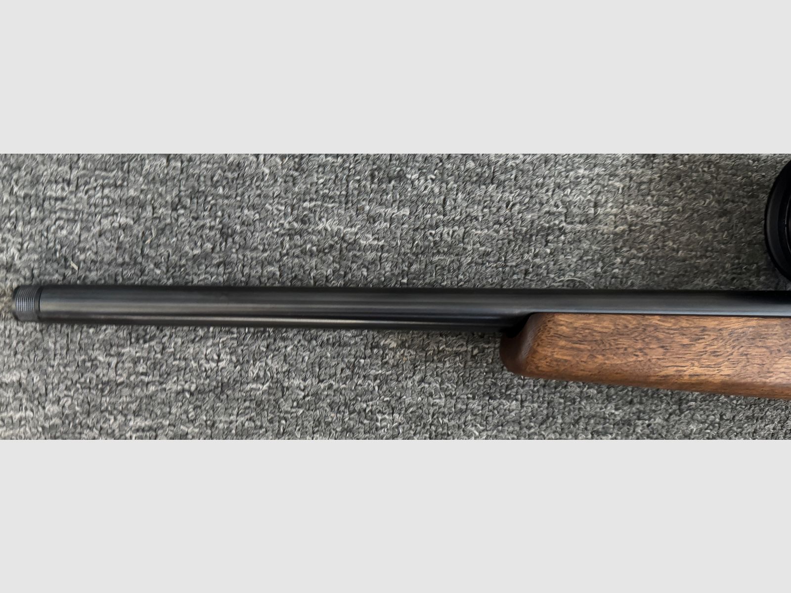 Weihrauch HW66 Production .17 Hornet con Geco 3,5-18x56 LP