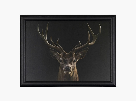 LivingActive Laptop Tafel Rothirsch zwart