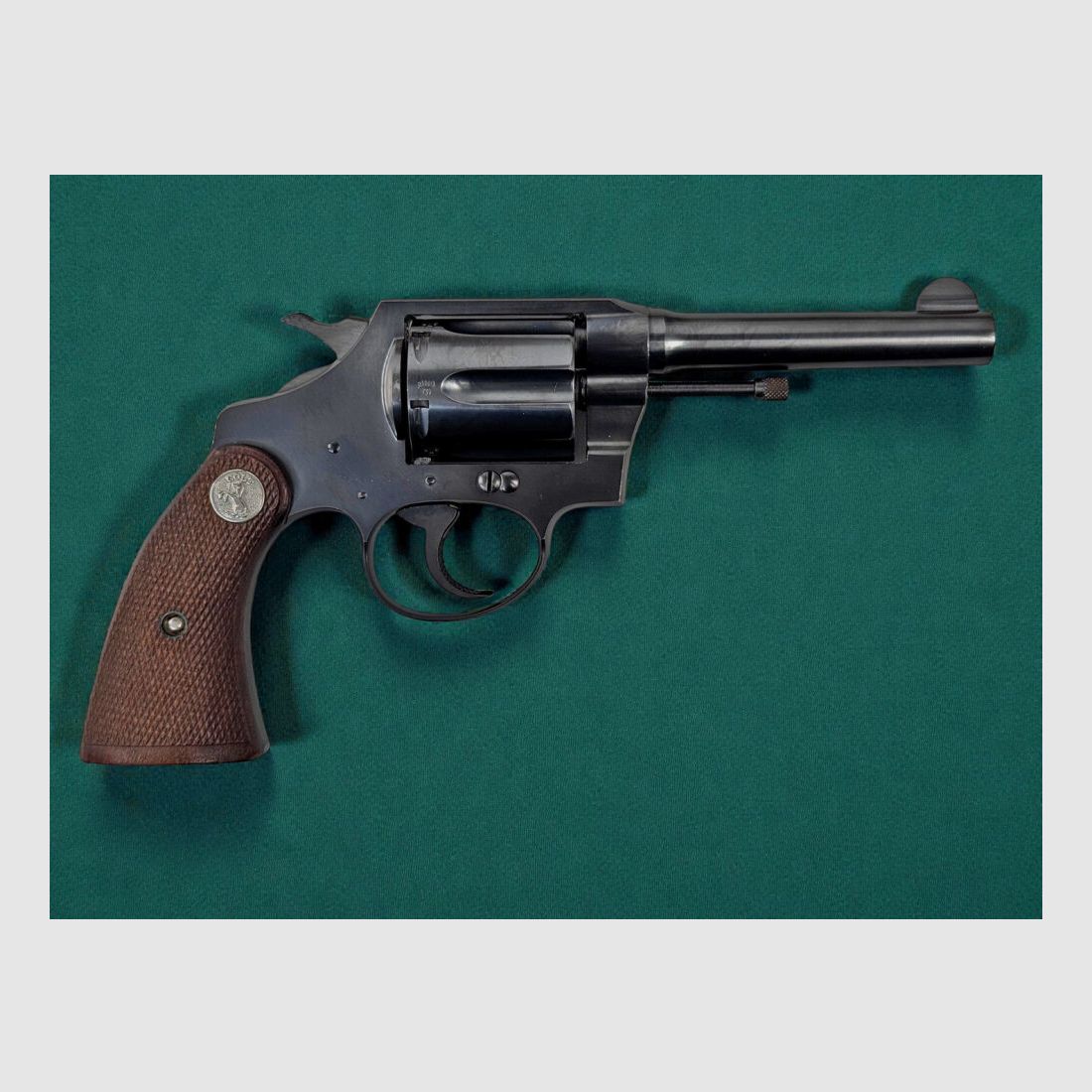 Colt Police Positive