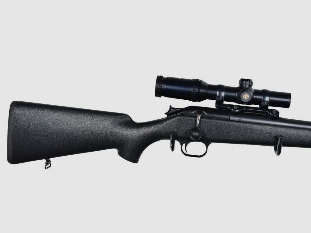 Blaser	 R93