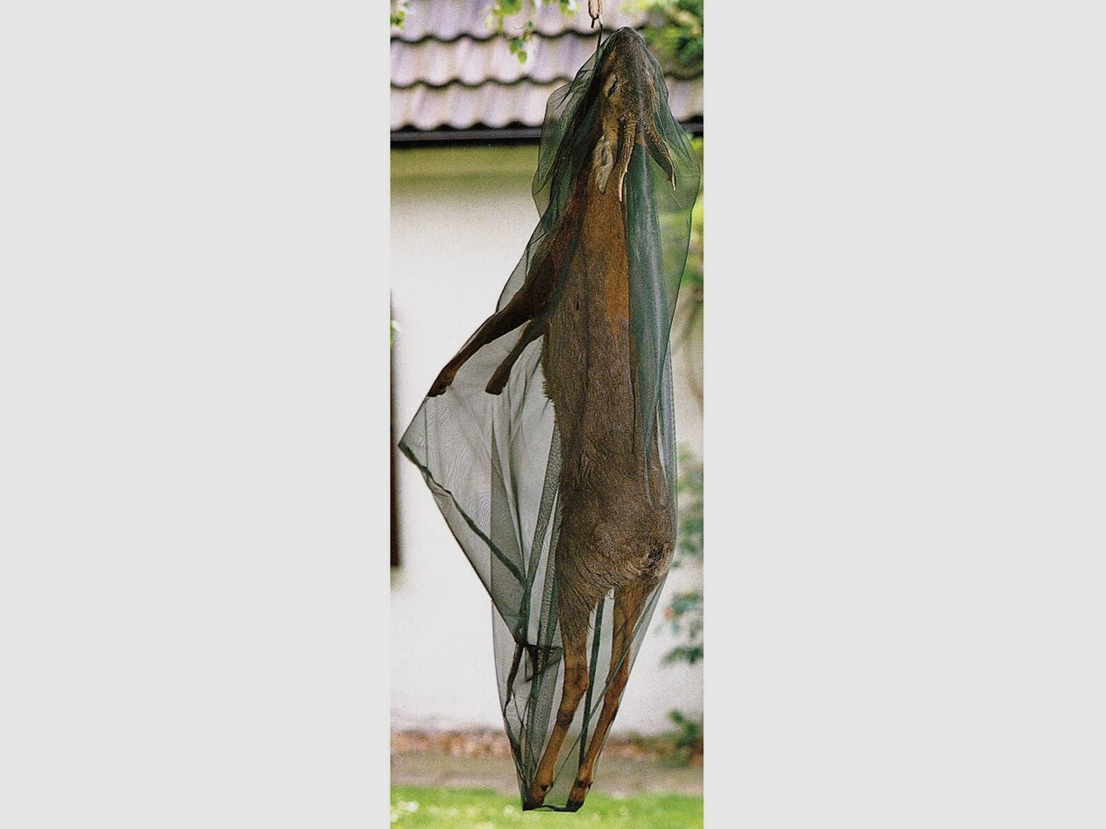 Rete di protezione per insetti