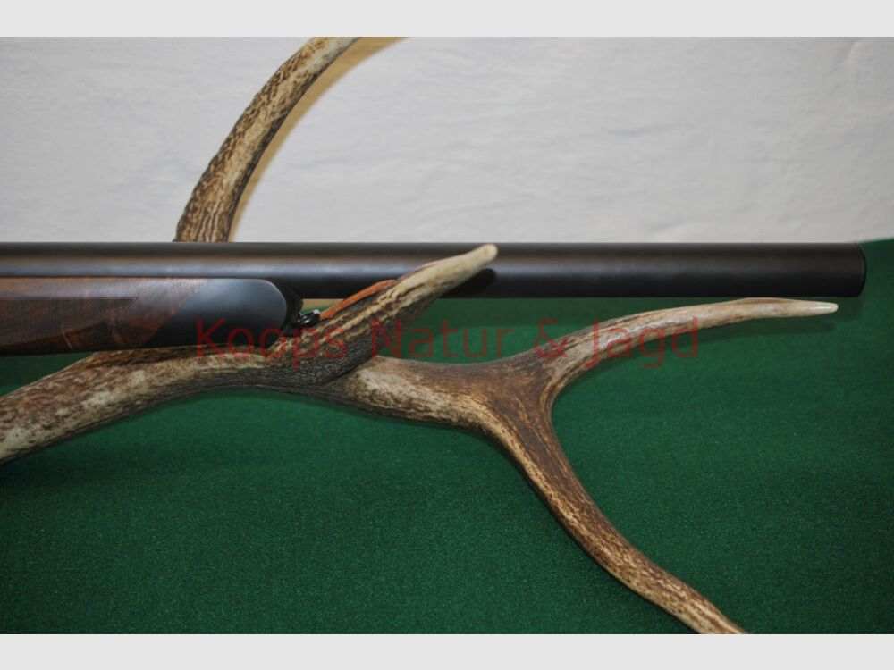Sauer & Sohn	 404 Silence TI