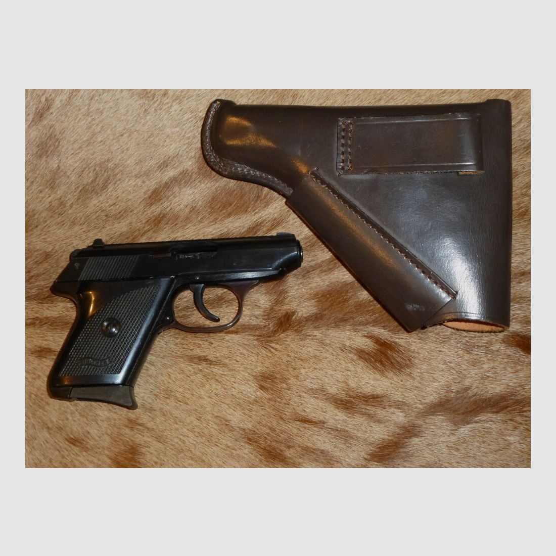 Walther TPH
