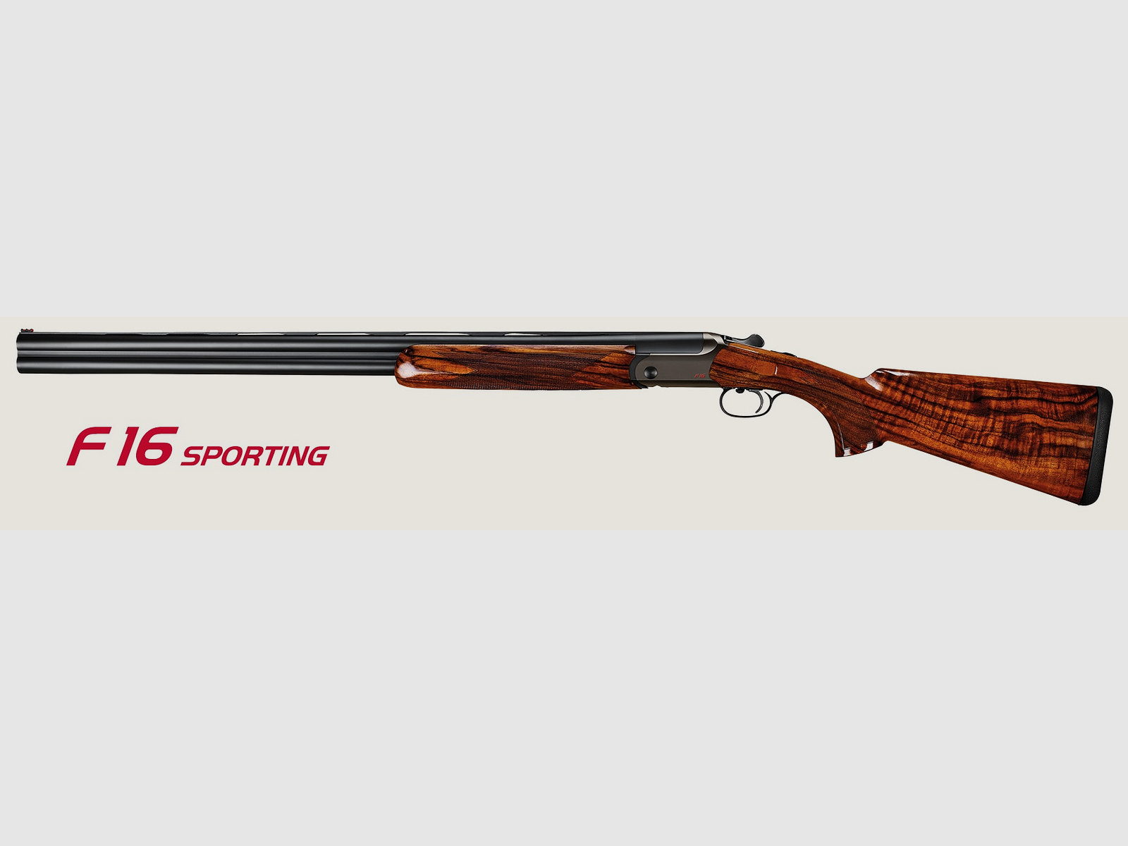 Blaser F16