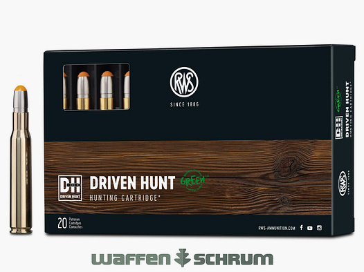 RWS Driven Hunt 10,7g - 165gr .30-06Spring