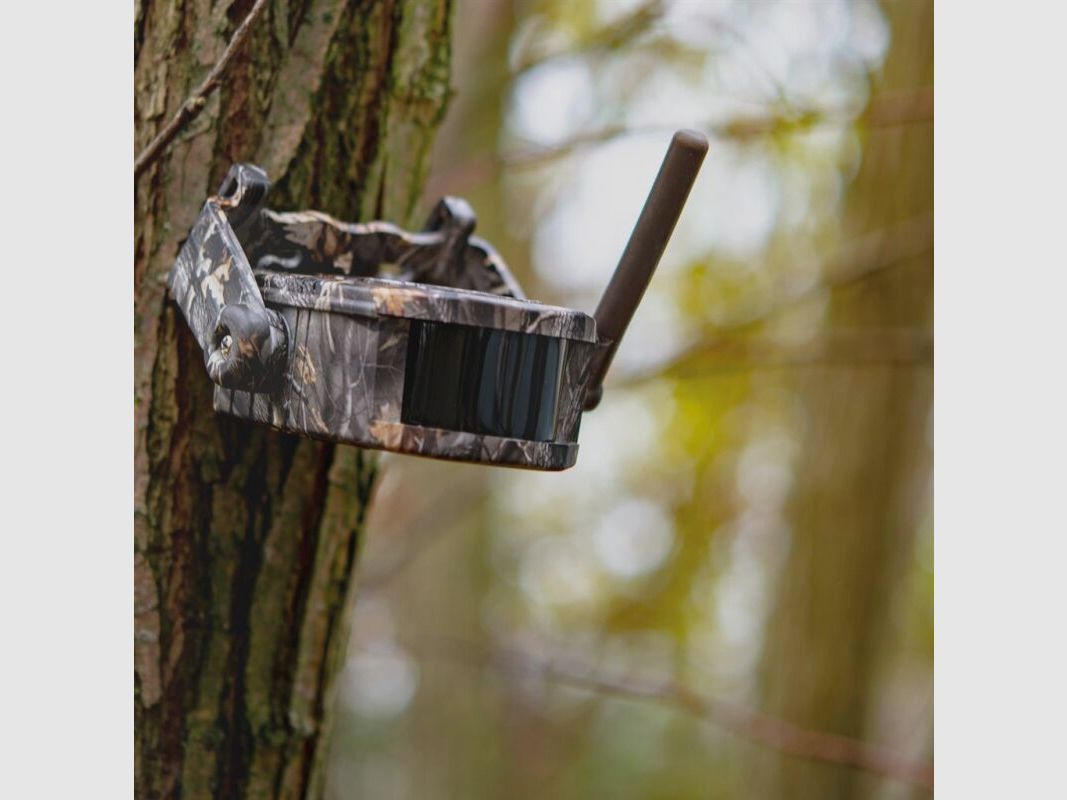 Dörr Funk-Wildbewegungsmelder Set HA-300 camouflage