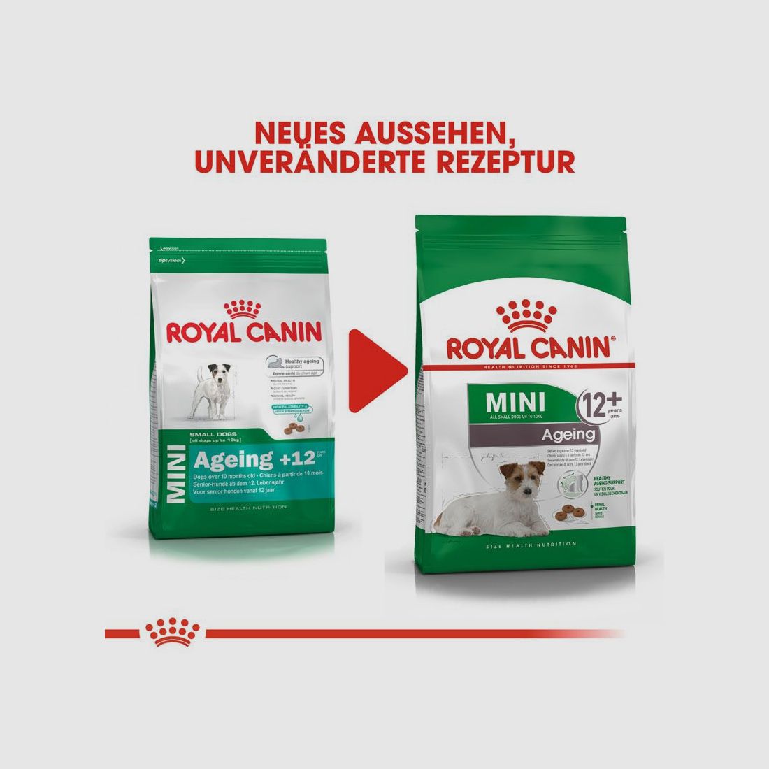 ROYAL CANIN Ältere Kleine Hunde Trockenfutter Mini Ageing 12+ 3,5 Kg