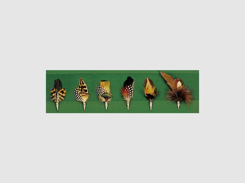 Fritzmann hat feathers sorted