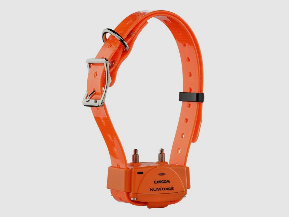 Collar Set für die Ausbildung Canicom 1000 NUM'AXES, Bild 4 von 8