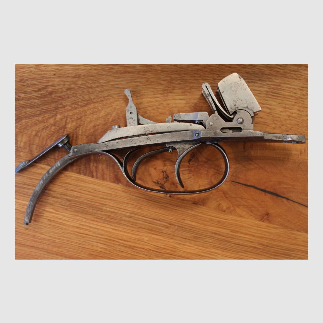 Sempert and Krieghoff with manually removable locks special construction
