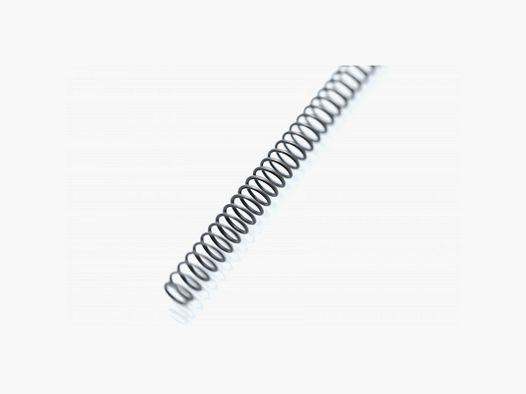 CZ Recoil Spring - Shadow 2