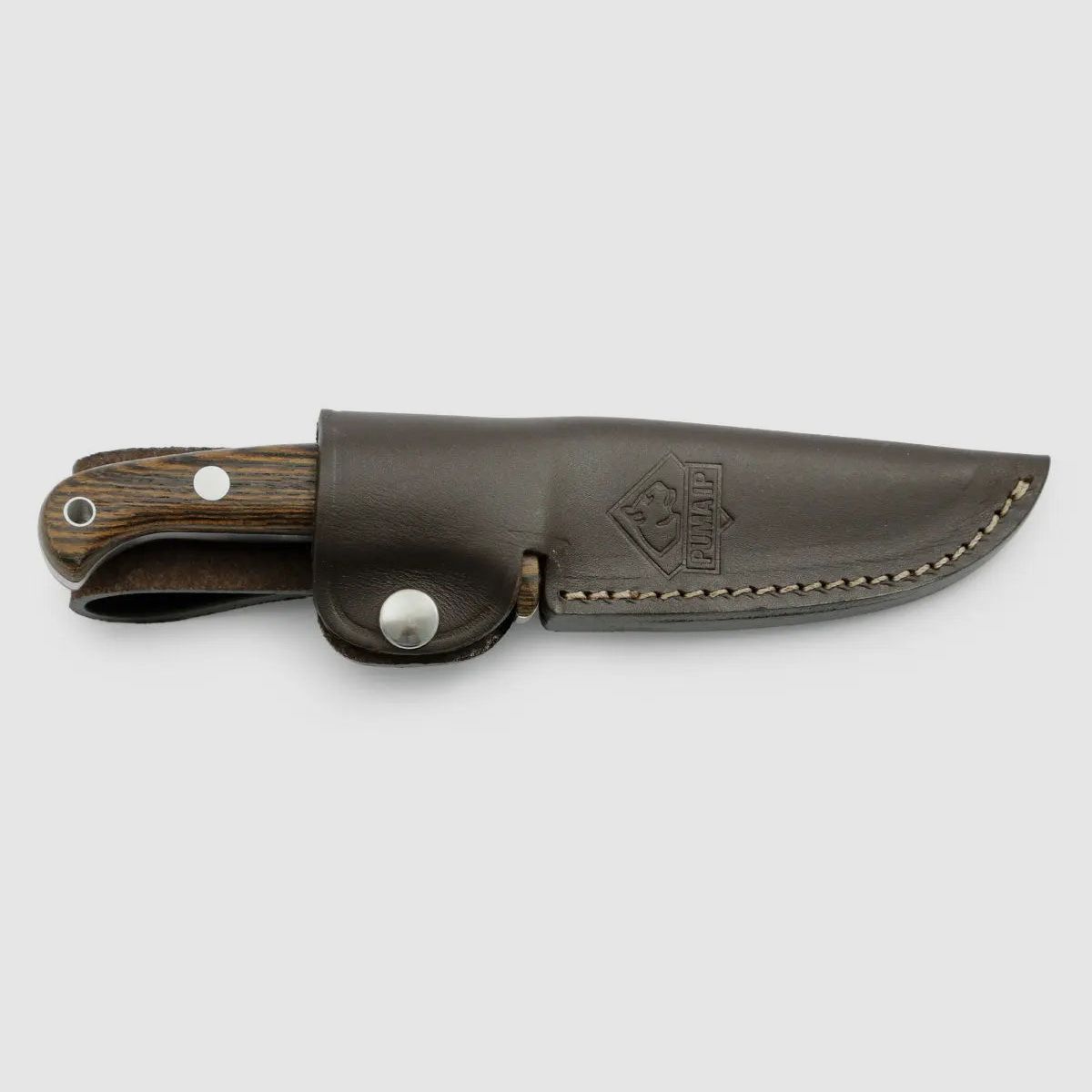 PUMA IP canis bocote