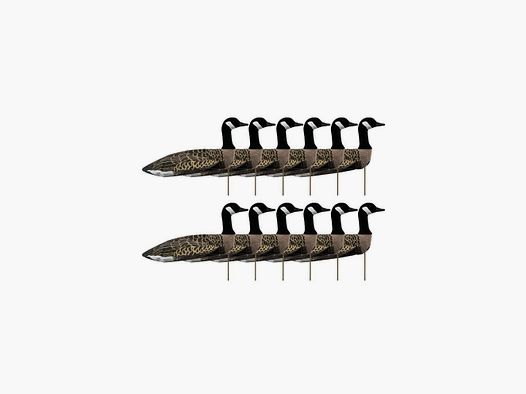 Luchtgreepvorm FlockSox Canadese gans actief x12