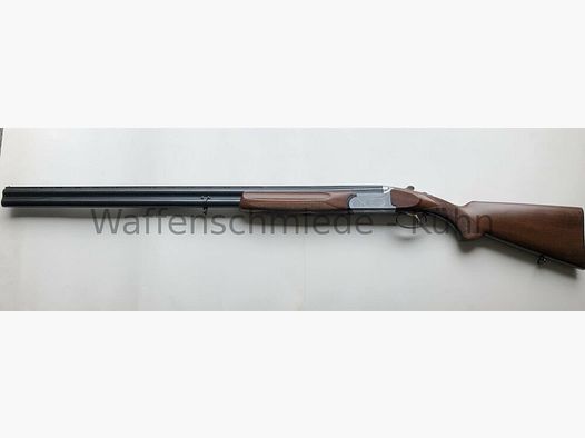 Merkury Sabatti Olympus